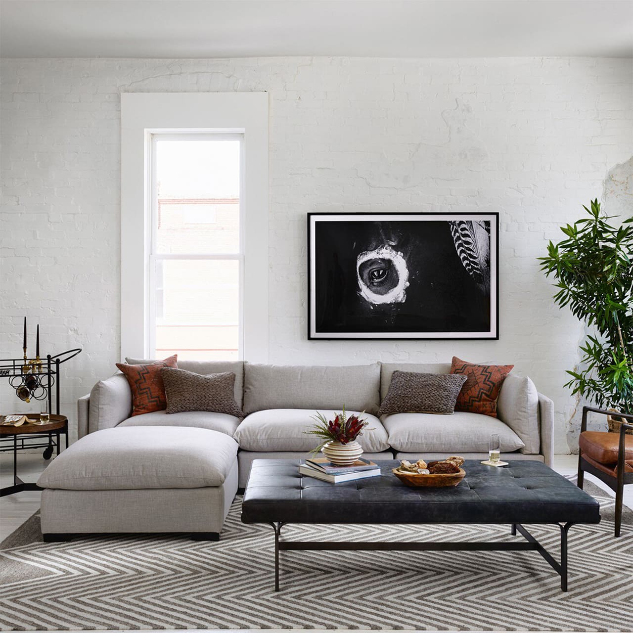 Contemporary living room with sectional sofa, dark wood coffee table, and vibrant indoor plant.
